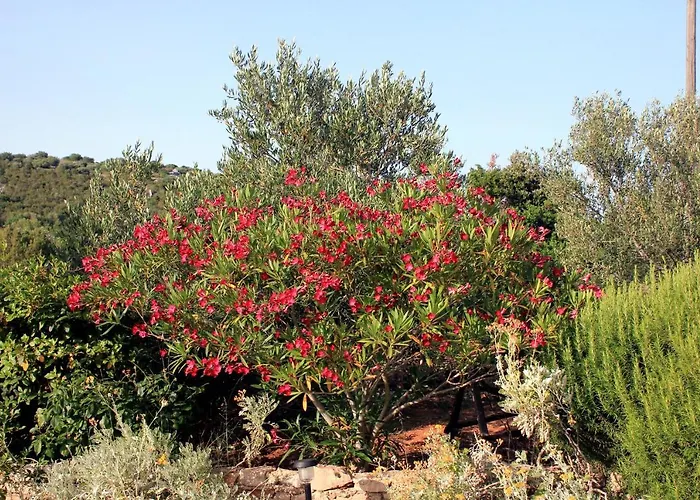 878a Апартаменты