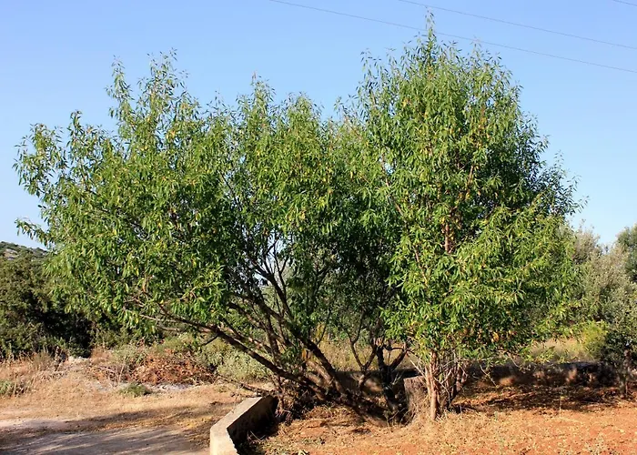 878a Апартаменты