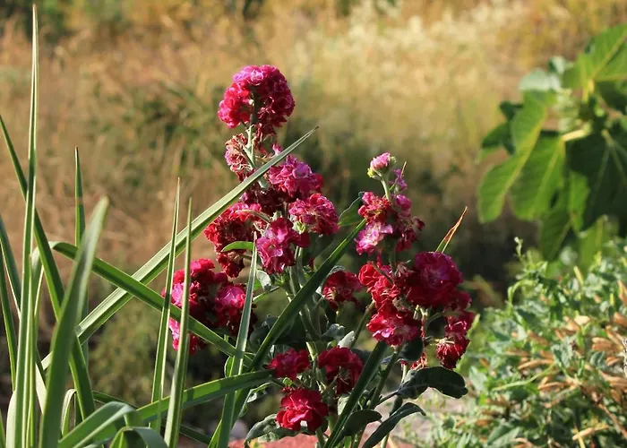 Апартаменты 878a