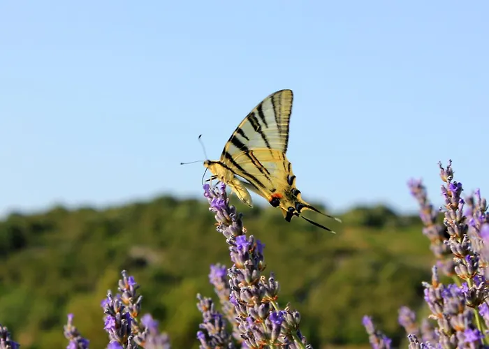 878a Апартаменты *