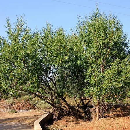 878a Διαμέρισμα